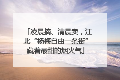 凌晨摘、清晨卖，江北“杨梅自由一条街”藏着最甜的烟火气