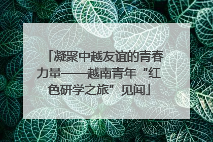 凝聚中越友谊的青春力量——越南青年“红色研学之旅”见闻