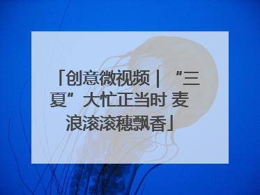 创意微视频｜“三夏”大忙正当时 麦浪滚滚穗飘香