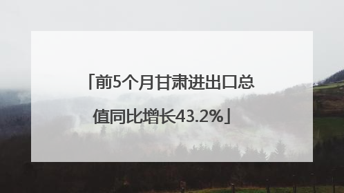 前5个月甘肃进出口总值同比增长43.2%
