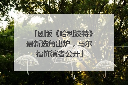 剧版《哈利波特》最新选角出炉，马尔福饰演者公开