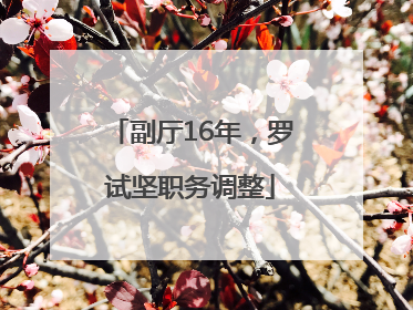 副厅16年，罗试坚职务调整