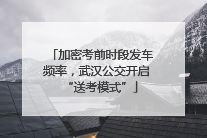 加密考前时段发车频率，武汉公交开启“送考模式”