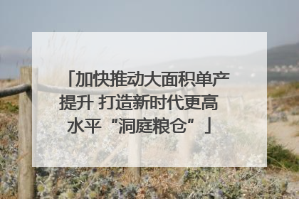 加快推动大面积单产提升 打造新时代更高水平“洞庭粮仓”