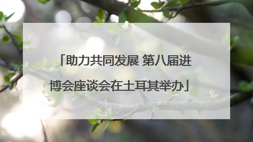 助力共同发展 第八届进博会座谈会在土耳其举办