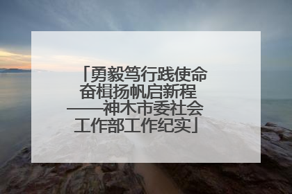 勇毅笃行践使命 奋楫扬帆启新程——神木市委社会工作部工作纪实