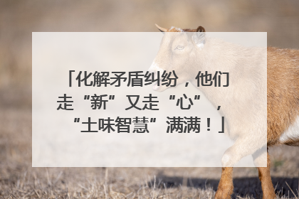 化解矛盾纠纷，他们走“新”又走“心”，“土味智慧”满满！