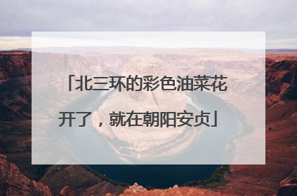 北三环的彩色油菜花开了，就在朝阳安贞