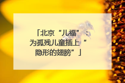 北京“儿福”：为孤残儿童插上“隐形的翅膀”