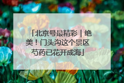 北京号最精彩｜绝美！门头沟这个景区芍药已花开成海
