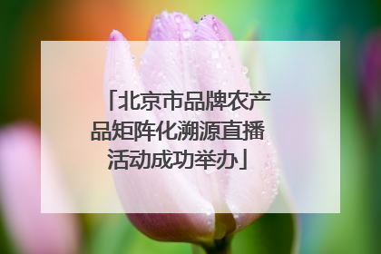 北京市品牌农产品矩阵化溯源直播活动成功举办