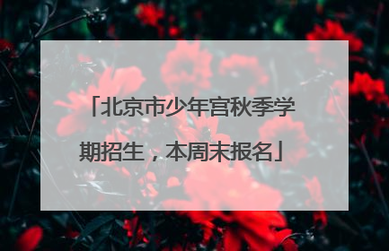 北京市少年宫秋季学期招生，本周末报名