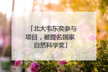 北大韦东奕参与项目，被提名国家自然科学奖