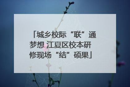 城乡校际“联”通梦想 江夏区校本研修现场“结”硕果