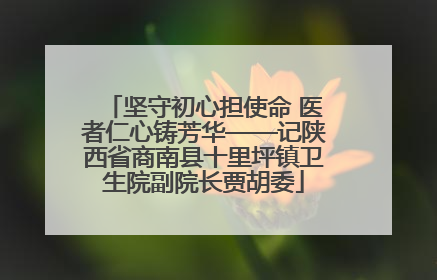 坚守初心担使命 医者仁心铸芳华——记陕西省商南县十里坪镇卫生院副院长贾胡委