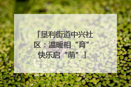 垦利街道中兴社区：温暖相“育” 快乐启“萌”