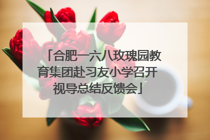 合肥一六八玫瑰园教育集团赴习友小学召开视导总结反馈会