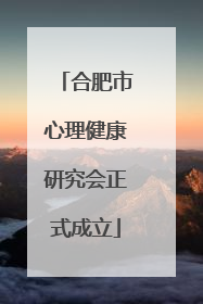合肥市心理健康研究会正式成立