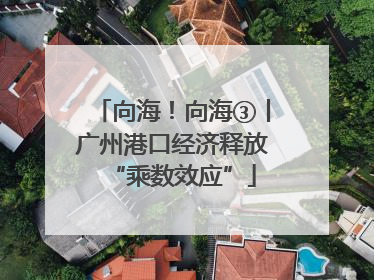 向海！向海③丨广州港口经济释放“乘数效应”