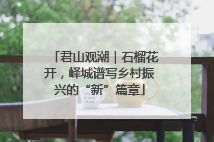 君山观潮｜石榴花开，峄城谱写乡村振兴的“新”篇章