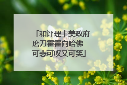 和评理丨美政府磨刀霍霍向哈佛 可悲可叹又可笑