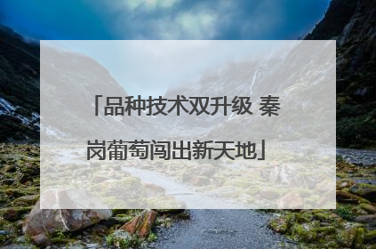 品种技术双升级 秦岗葡萄闯出新天地