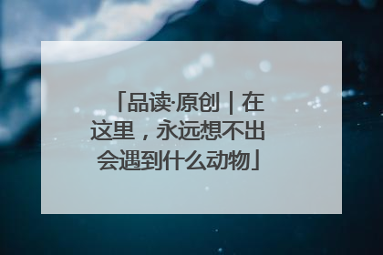 品读·原创｜在这里，永远想不出会遇到什么动物