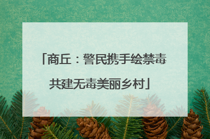 商丘：警民携手绘禁毒 共建无毒美丽乡村