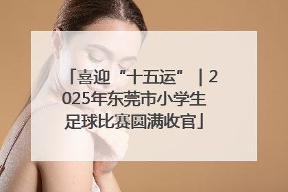 喜迎“十五运”｜2025年东莞市小学生足球比赛圆满收官