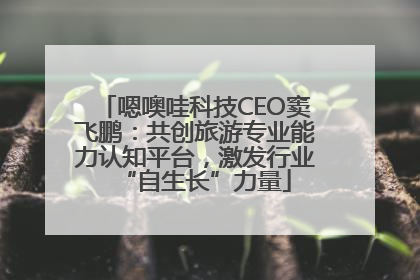 嗯噢哇科技CEO窦飞鹏：共创旅游专业能力认知平台，激发行业“自生长”力量