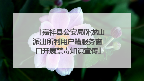 嘉祥县公安局卧龙山派出所利用户籍服务窗口开展禁毒知识宣传