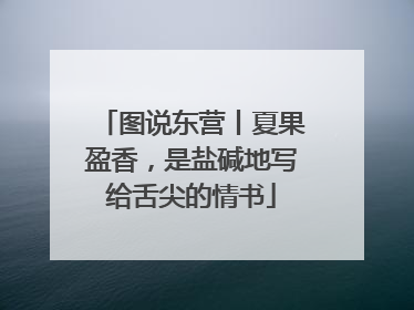 图说东营丨夏果盈香，是盐碱地写给舌尖的情书