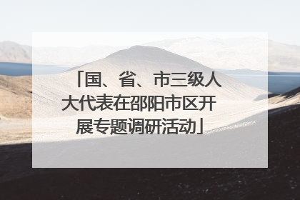 国、省、市三级人大代表在邵阳市区开展专题调研活动