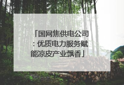 国网焦供电公司：优质电力服务赋能凉皮产业飘香