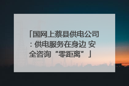 国网上蔡县供电公司：供电服务在身边 安全咨询“零距离”