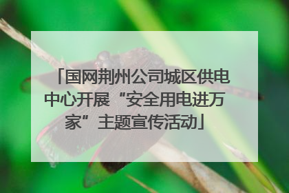 国网荆州公司城区供电中心开展“安全用电进万家”主题宣传活动
