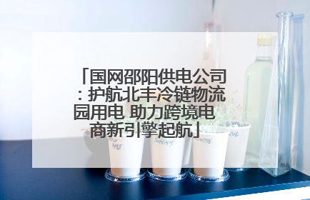 国网邵阳供电公司：护航北丰冷链物流园用电 助力跨境电商新引擎起航