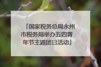 国家税务总局永州市税务局举办五四青年节主题团日活动