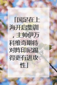 国足在上海开启集训，主帅伊万科维奇期待对阵印尼踢得更有进攻性