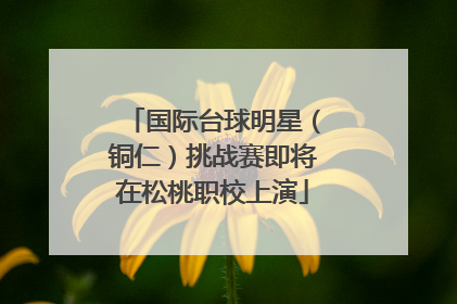 国际台球明星（铜仁）挑战赛即将在松桃职校上演