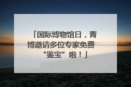 国际博物馆日，青博邀请多位专家免费“鉴宝”啦！