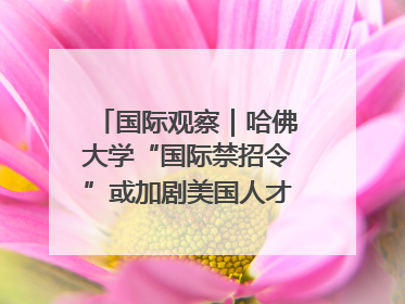 国际观察｜哈佛大学“国际禁招令”或加剧美国人才“出走潮”