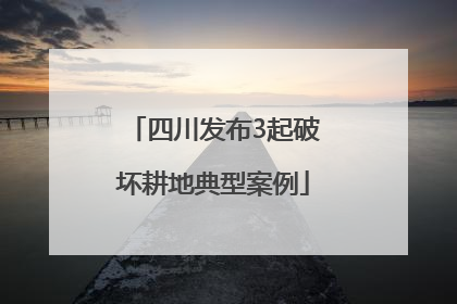 四川发布3起破坏耕地典型案例