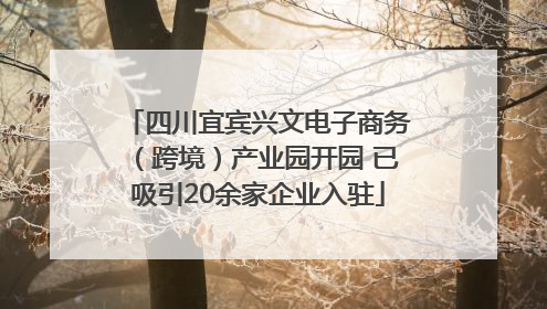 四川宜宾兴文电子商务（跨境）产业园开园 已吸引20余家企业入驻