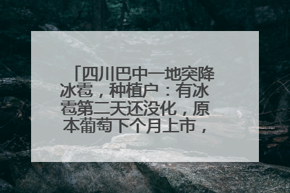 四川巴中一地突降冰雹，种植户：有冰雹第二天还没化，原本葡萄下个月上市，现在全被打落