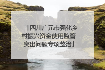 四川广元市强化乡村振兴资金使用监管突出问题专项整治