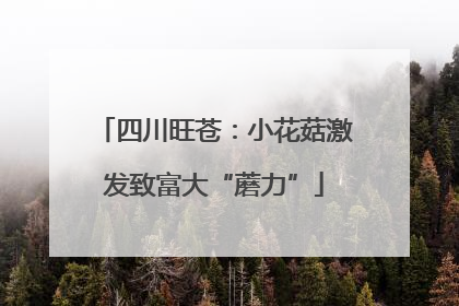 四川旺苍：小花菇激发致富大“蘑力”