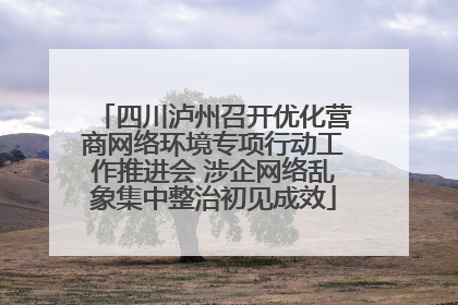 四川泸州召开优化营商网络环境专项行动工作推进会 涉企网络乱象集中整治初见成效