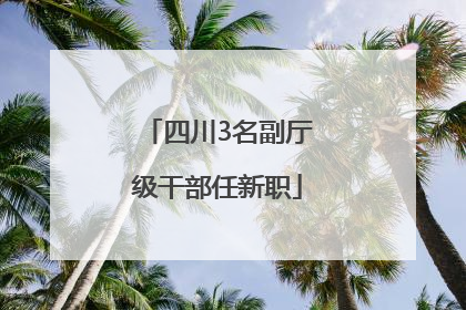 四川3名副厅级干部任新职