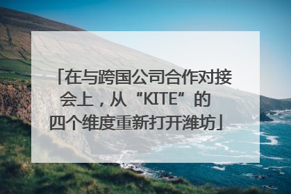 在与跨国公司合作对接会上，从“KITE”的四个维度重新打开潍坊